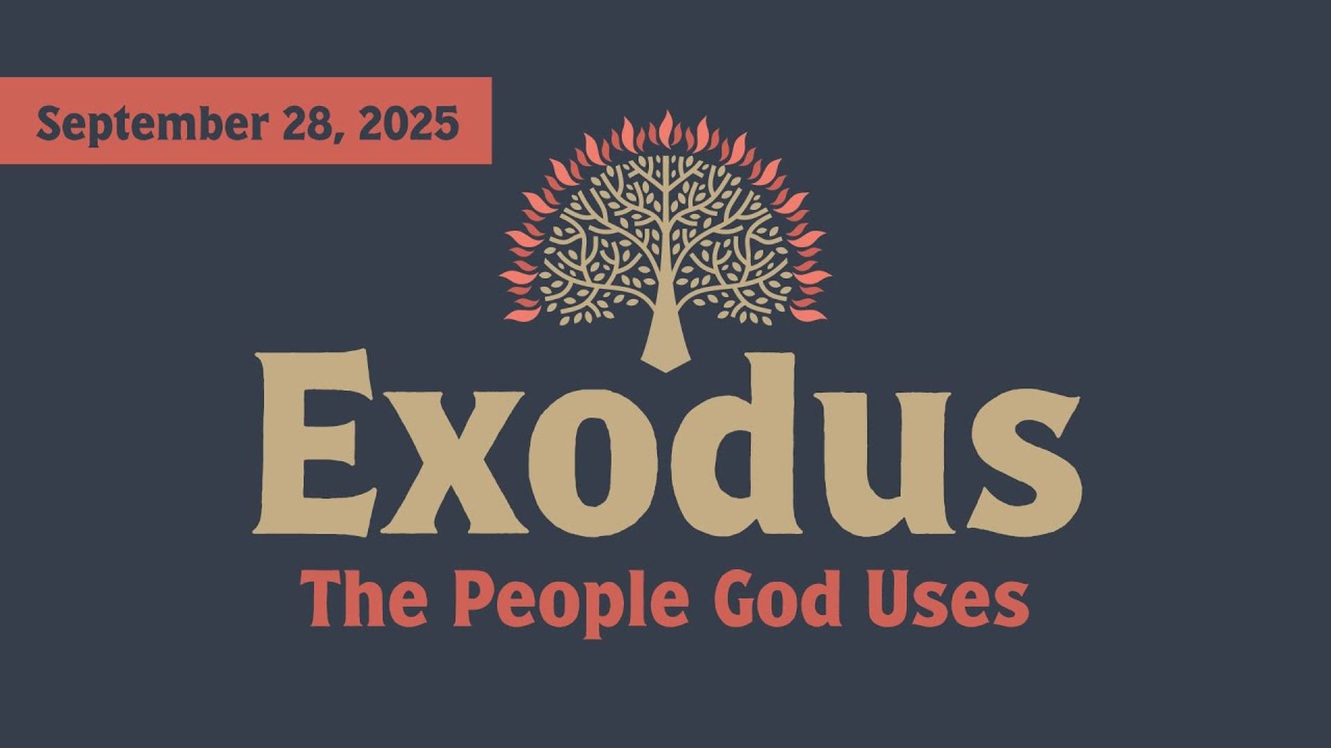 The People God Uses