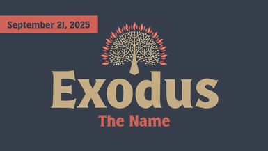 The Name