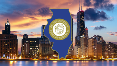 Illinois State Council 